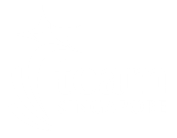 新加坡团队