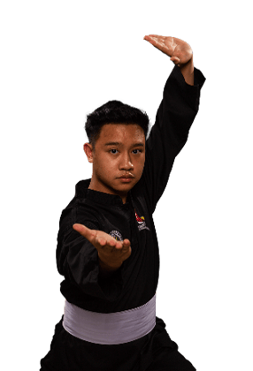 Muhammad Affiz Bin Mohamed Zakri