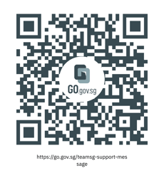 teamsg-support-message