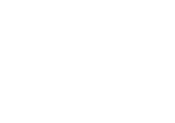 TeamSG